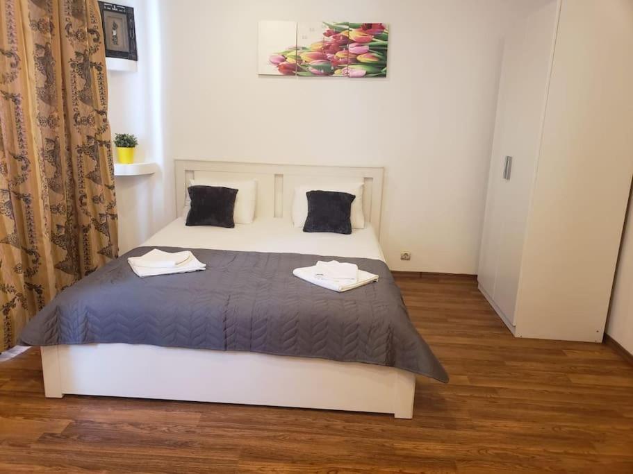 Studio Sforii In Brasov Ris Accommodation Braşov Exterior foto